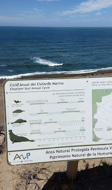 Caleta Valdés-别德马