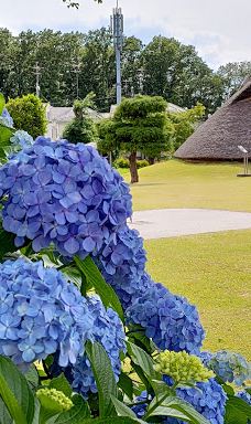 本町田遗迹公园-町田市