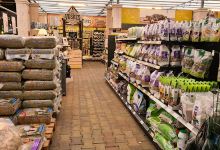 Aralia Garden Center购物图片