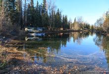 Dot's Kenai River Camp景点图片