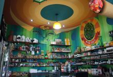 Don Cactus Grow Shop购物图片