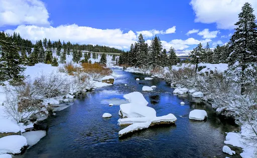 Truckee River Regional Park