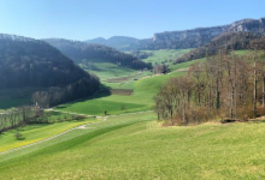 Ruine Riedfluh景点图片