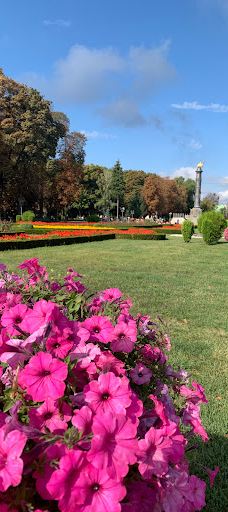 Eagle monument-Poltavs'ka city council