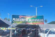 Pulguero Guayanilla购物图片