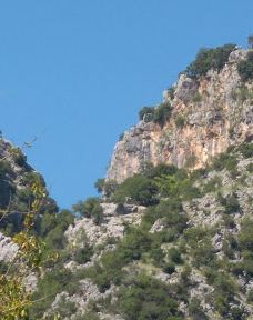 Savrun Stream-卡迪尔利