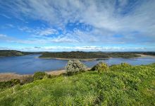 Scenic Lookout景点图片