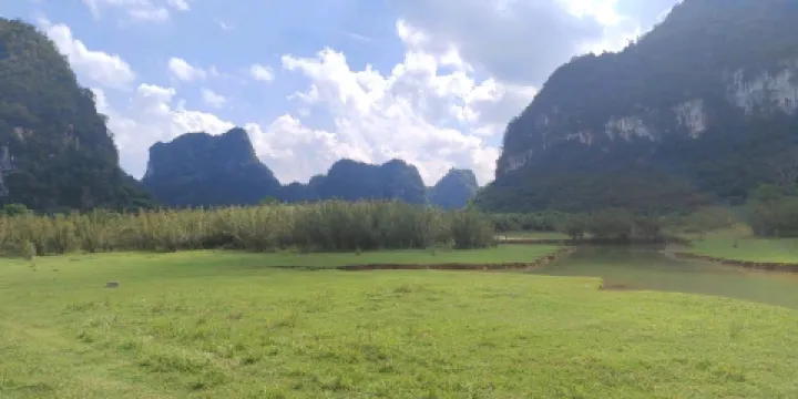 龍會村牧場露營地