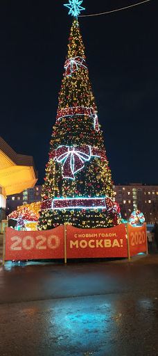 奇尼塞利马戏团-圣彼得堡