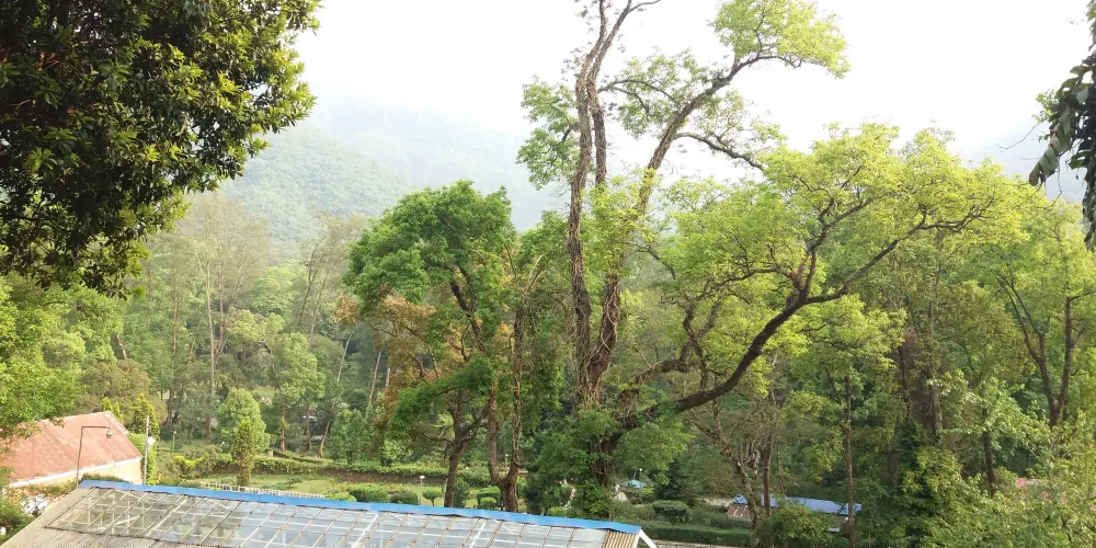 永安旅遊