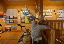 Notsuke Peninsula Nature Center景点图片