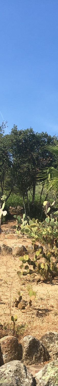 Jardí Botànic Tropical Paratge Pinya de Rosa-布拉内斯