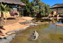 Cocodrilo Park Gran Canaria景点图片