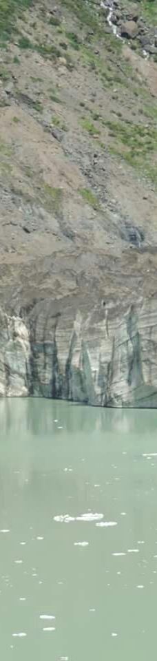 Ventisquero Negro-巴里洛切县