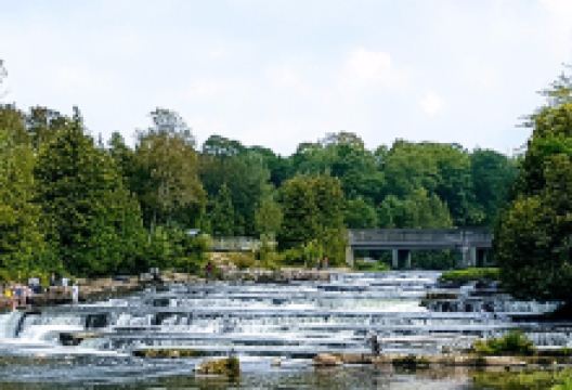Sauble Falls Provincial Park景点图片