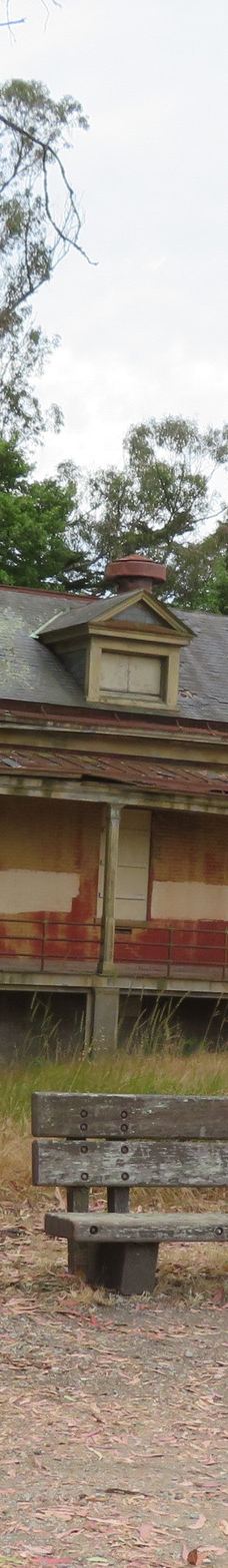 安琪儿岛-蒂伯龙