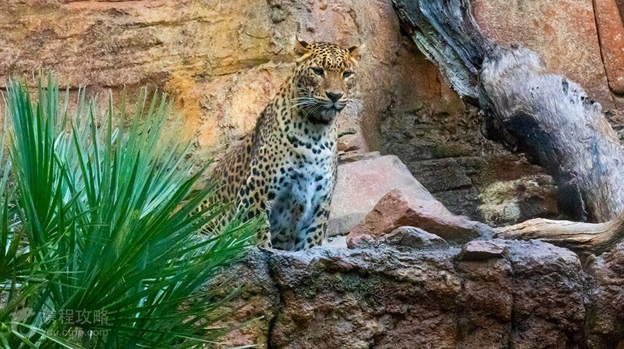 Bioparc Fuengirola