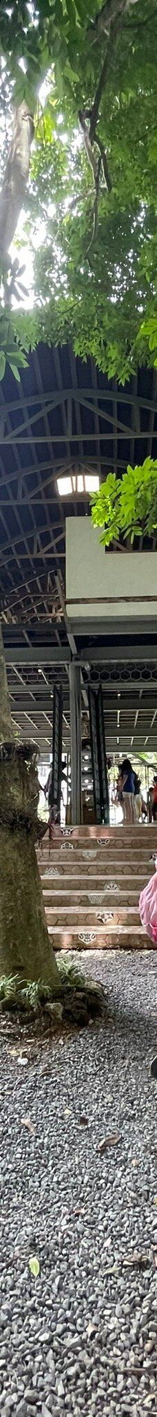 Ilog Maria Honeybee Farm-锡朗