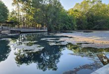 Howard Springs Nature Park景点图片
