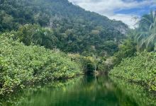 Guajataca Forest Reserve景点图片