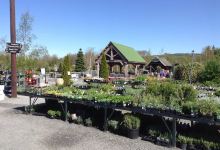 Derwen Garden Centre & Farm Shop购物图片