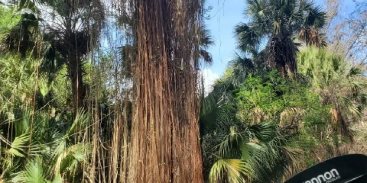 Loxahatchee River Battlefield Park