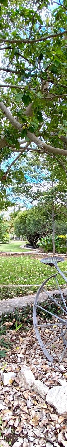 The Katherine Museum-凯瑟琳