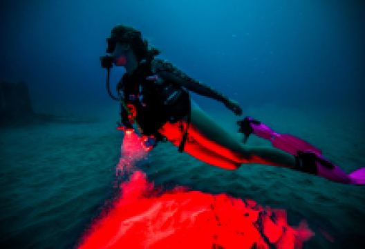 Aquatica Dive and Surf购物图片