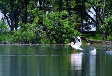 Park Lake Provincial Park景点图片