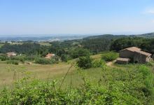 Rocca Di Montanino景点图片