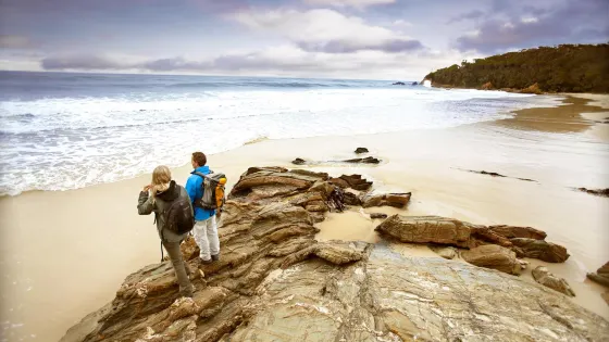 Wilderness Coast Walk