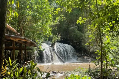 Chiang Mai Elephant Sanctuary