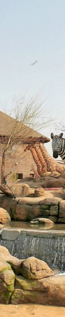 迪拜野生动物园-迪拜