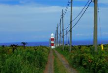 Teuri Island Lighthouse景点图片