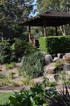 卧龙岗植物园-Keiraville