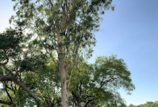 Bhuiyare Baba Mandir景点图片