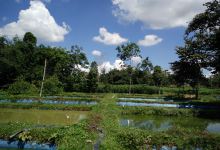 Kelompok Tani Sumber Mina景点图片