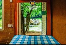 Diya Dahara Adventure Kitulgala景点图片
