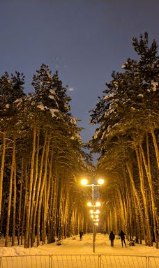 Park Pobedy-利佩茨克