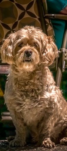 Lincoln City KOA Holiday-林肯县