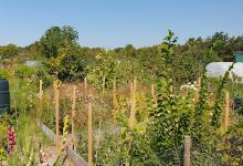 Volkstuinvereniging de Praetakker景点图片