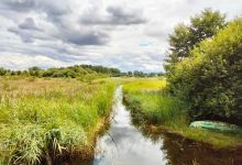 Hawk & Owl Trust Sculthorpe moor景点图片