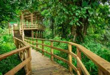 Sendero eco turístico de Tutunendo景点图片