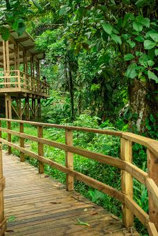 Sendero eco turístico de Tutunendo-图图嫩多