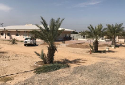 Mohammed bin farm Dabs Djaimir Alkaama景点图片