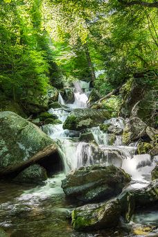 Crabtree Falls Parking Lot-纳尔逊县