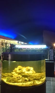MORELIA ZOO ACUARIUM-莫雷利亚