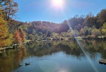 Rhododendron Lake Nature Park景点图片