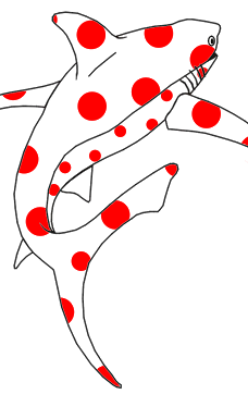 贝岛