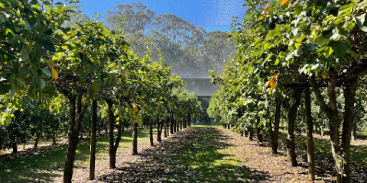 Bilpin Springs Orchard